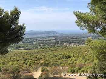 [EN IMAGES] 20 ans après les incendies monstres de 2001, les traces du feu toujours visibles dans l’Ouest-Var