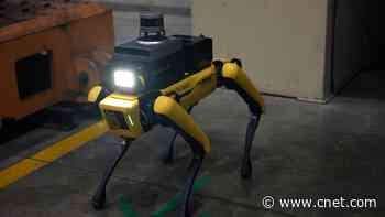 Robotic Spot's ready for safety patrols for Hyundai     - Roadshow