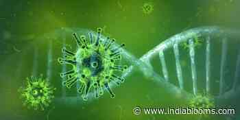 China: Wuhan lab created '10000-times stronger than usual' coronavirus strains, says scientist | Indiablooms - First Portal on Digital News Management - indiablooms