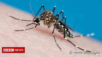 Mosquitoes sucked up by traps that mimic breathing