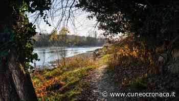 Fossano: "Mai così tante associazioni in campo per l'ambiente domenica a Viviamo il Parco"- Cuneocronaca.it - Cuneocronaca.it