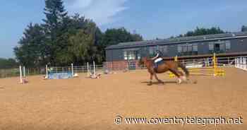 Coventry boy goes viral after his horse jumps the wrong fence - Coventry Live