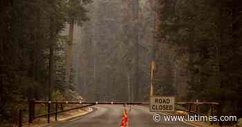 Wildfire reaches Giant Forest; fate of giant sequoias unknown - Los Angeles Times