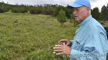 Climate change, logging collide -- and a forest shrinks - Bismarck Tribune