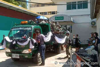 Forest ranger killed in gaur attack in Khao Yai - Bangkok Post