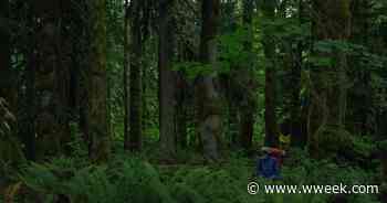 The Weekend's Forecasted Rain Prompts Washington State's Gifford Pinchot National Forest to Ease Fire Restrictions - Willamette Week