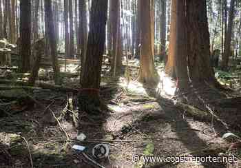 Community Forest set to log in Halfmoon Bay - Coast Reporter
