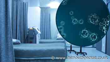 Coronavirus in Cornwall: Saturday, September 18 - new death every day this week - Falmouth Packet