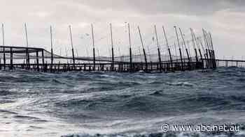 Secret government maps detail salmon farming expansion plans