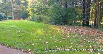 Stadt Neunkirchen stellt Idee muslimisches Grabfeld vor - Saarbrücker Zeitung