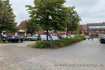 Firma prüft Standsicherheit der Bäume in Ascheberg, Davensberg und Herbern - Ruhr Nachrichten