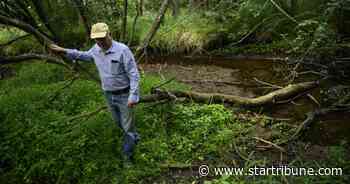 A trout stream struggles in farm country