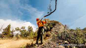 California wildfires burn into groves of giant sequoia trees