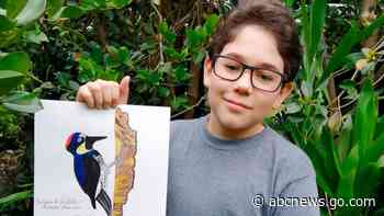 Colombian teen draws, donates bird guide to raise awareness