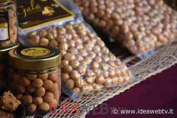 G20, Coldiretti Cuneo: “Tra le eccellenze italiane la Nocciola delle Langhe” - IdeaWebTv