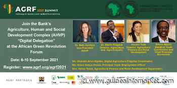 El Banco Africano de Desarrollo se asocia con la Alianza para una Revolución Verde en África como patrocinador del Foro virtual de la Revolución Verde Africana (AGRF) - Guinea InfoMarket
