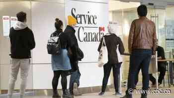 P.E.I. labour shortage predated pandemic but was made worse by it