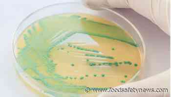 Children sick in French outbreak - Food Safety News