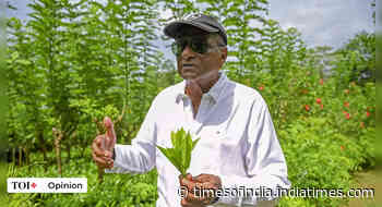 Lankan food crisis shows perils of organic farming - Times of India