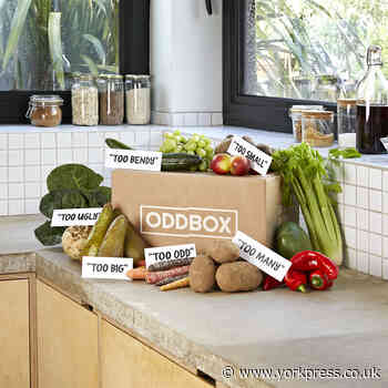 Oddbox food waste delivery boxes now in York | York Press - York Press