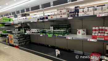 Customers face permanent food shortages fuelled by lack of lorry drivers, warns industry leader - Sky News