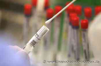 Inzidenzen in Mannheim und Heidelberg steigen wieder - weiter Entspannung im Kreis - Metropolregion - Mannheimer Morgen