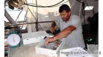 "Fermo pesca da ridurre per aiutare le imprese" - il Resto del Carlino