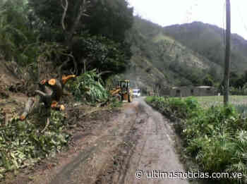 Mantienen rehabilitación de espacios afectados por lluvias en Trujillo - Últimas Noticias