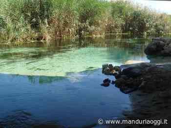 MANDURIA - Macchie scure nel Chidro, Arpa: «Il fenomeno in oggetto sia riconducibile a fisiologici processi di degradazione di materiale organico depositato lungo la costa durante le mareggiate» - ManduriaOggi