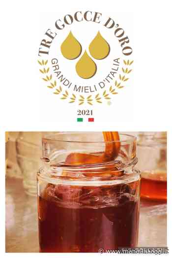 MANDURIA - Prestigioso riconoscimento per l'azienda Alisi di Manduria: ha ricevuto le 'Due gocce d'oro' dalla guida 'Grandi Mieli d'Italia' - ManduriaOggi