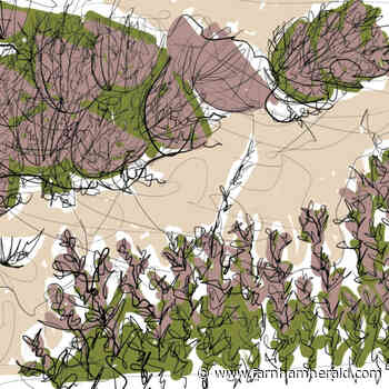 Beauty of rare heath inspires COP26 poem - Farnham Herald