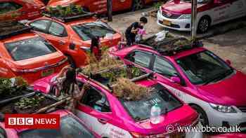 Thailand Covid: Idle taxis used to grow food for out-of-work drivers