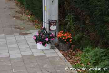 Vandalen vernielen herdenkingsplekje van verongelukte Gregory Huyghe (41), vader Philippe is razend: “Een steek in het hart”