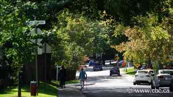 In cities, money doesn't grow on trees, but more trees grow near money
