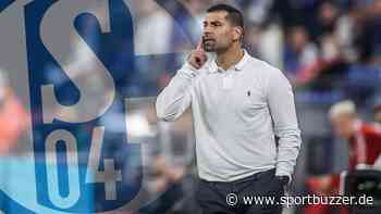 "Muss wieder die Post abgehen": Schalke-Trainer Grammozis nach zwei Siegen in Folge selbstbewusst - Sportbuzzer