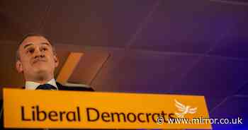 Ed Davey tells Lib Dems to oust 'ugly, ugly' Tories in keynote conference speech