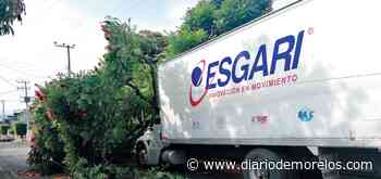 Caen ramas sobre tráiler en Cuernavaca - Diario de Morelos