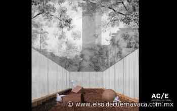 Mextrópoli 2021 reflexiona sobre el daño ambiental - El Sol de Cuernavaca