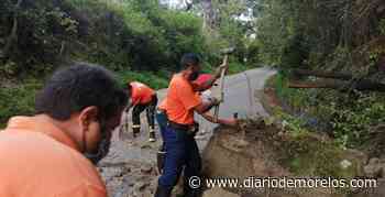 Se desgaja paredón en Buenavista del Monte, Cuernavaca - Diario de Morelos