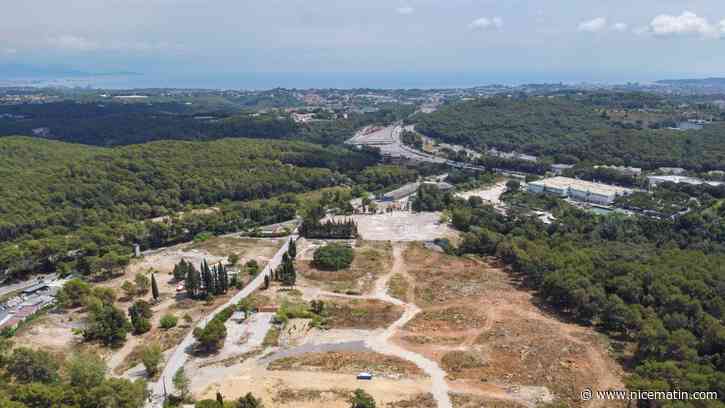 Face à la bétonisation à l'Ouest des Alpes-Maritimes, comment préserver les espaces naturels?