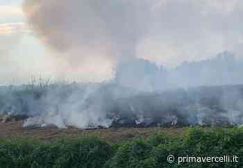 Tricerro: fiamme in un prato vicino al centro abitato - Prima Vercelli