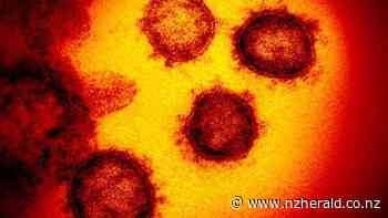 Covid-19 coronavirus Delta outbreak: Expert on what Waikato cases could mean for Cabinet's big lockdown decision - New Zealand Herald