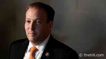Zeldin says he's in remission after treatment for leukemia