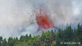 Homes threatened after volcano erupts in Spain