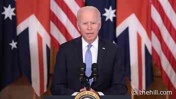 Biden falters in pledge to strengthen US alliances
