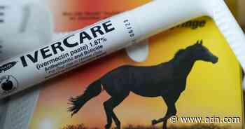 Horse owners can't find ivermectin as Americans flock to unproven coronavirus cure - Anchorage Daily News