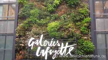 Architektur - Projekt "Bauhaus der Erde" soll mehr Klimaschutz beim Bauen anregen - Deutschlandfunk