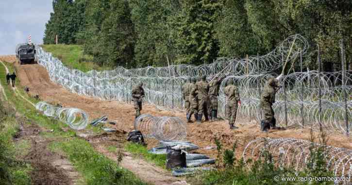 Mehrere Leichen an polnisch-belarussischer Grenze entdeckt
