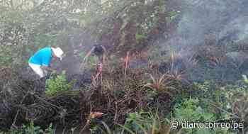 Chiclayo: Incendio forestal arrasa con 40 hectáreas en Reque (VIDEO) - Diario Correo