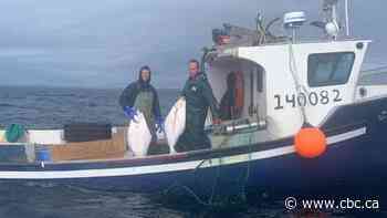 Search for Mary's Harbour fishermen enters 2nd day as N.L. communities hold vigils overnight